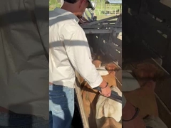 PT290 LF pembaca tag telinga sapi pembaca stik RFID