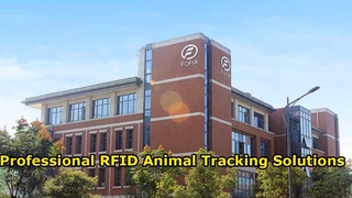 Solusi Identifikasi Hewan RFID Profesional oleh Fofia