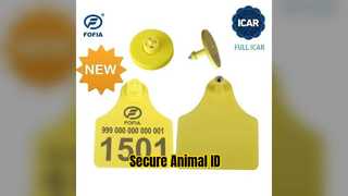 ICAR RFID Ear Tag Pembantaian ID Hewan Pembantaian Hewan
