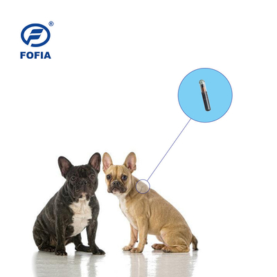 RFID Animal ID Tracking Microchip Injeksi hewan peliharaan ICAR Bersertifikat dengan 4 stiker barcode