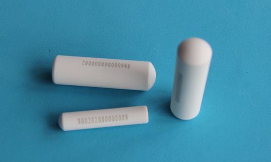 Identifikasi Hewan Eartag Sapi Rfid Bolus Tag 134.2khz