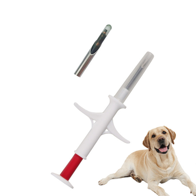 Track A Dog Microchip Animal ID Microchip Pilihan terbaik untuk identifikasi hewan yang efisien