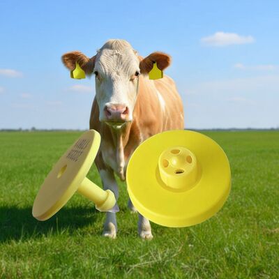 Tag Telinga Sapi Elektronik yang Memberikan Identifikasi Ternak Akurat dan Pemantauan Kesehatan dengan Komunikasi Nirkabel Aman