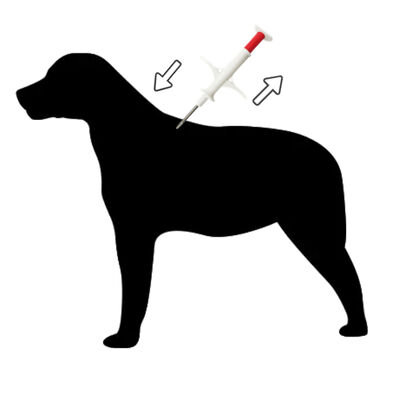 Ultra-Kecil & ringan FDX-B Mini Transponder Hewan untuk Animal Shelters ZS007