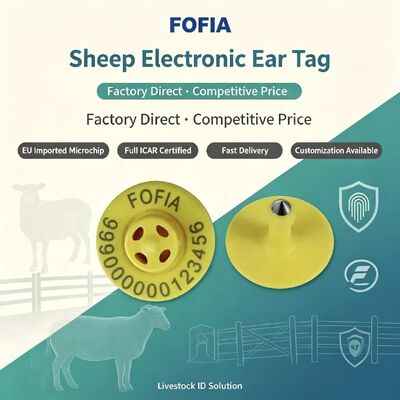 Tag telinga elektronik TPU yang disertifikasi ICAR untuk ternak kambing dan domba dengan kepatuhan ISO 11784/11785.