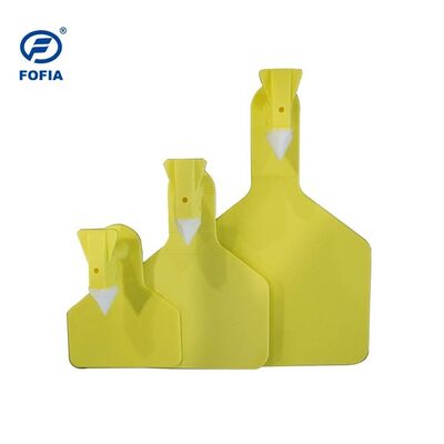 Desain Baru Grosir Plastik Tanda Telinga Domba Tanda Telinga Kambing Satu Potongan Dengan Nomor