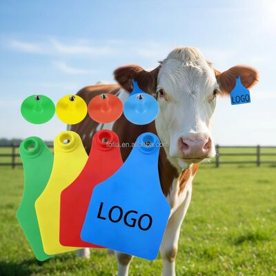 T904 Tag Telinga Ternak Visual Tag TPU Tahan Lama untuk Pembibitan & Manajemen Penyembelihan Hewan