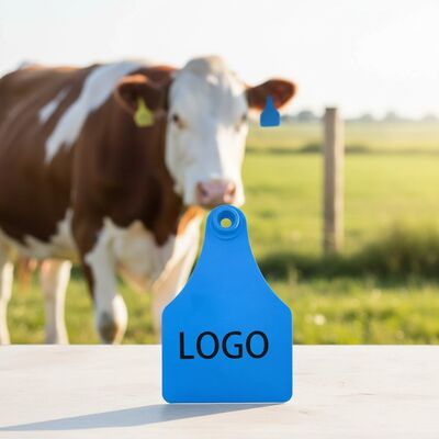T921 Hewan Kambing Kuning Tag telinga ternak RFID TPU Peternakan Kuda sapi