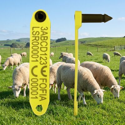 ICAR menyetujui FDX-B HDX RFID Sheep Ear Tag ET969 untuk pelacakan ternak
