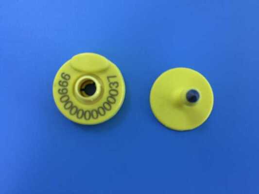 TPU Material RFID Tag Telinga 134.2KHz Tag Telinga Sapi Mini