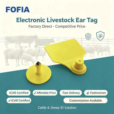 TPU Fofia ICAR T904 Tag telinga ternak untuk sapi domba babi sapi kambing