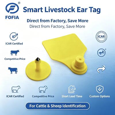 Fofia T904 Kombinasi Tag Telinga Hewan RFID TPU 72 * 57mm Laser Coding Peternakan Sapi Babi Domba Icar
