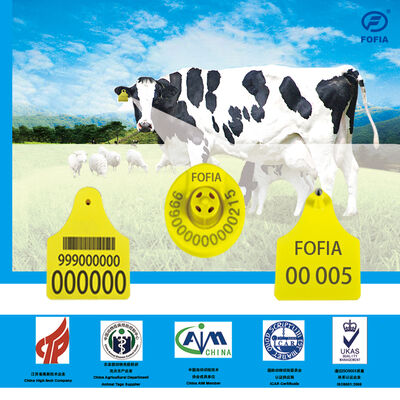 ICAR Long Range FDX / HDX RFID Ear Tags ISO 11784/5 Untuk Sapi, Domba dan Kambing Peternakan