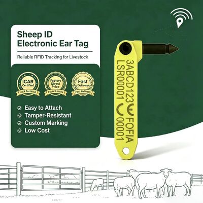 Waterproof Fofia tahan suhu tinggi terintegrasi Anti-shedding Elektronik T969 Yellow Sheep RFID Ear Tag TPU Material RF