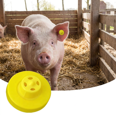 FULL ICAR 134.2KHz RFID Metal Ear Tag untuk Sapi Sapi Domba Peningkatan Solusi Identifikasi Hewan