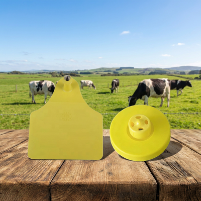 Label Telinga Babi Kuning Skenan Sapi Label Identifikasi ICAR FULL Visibilitas tinggi Cocok untuk Sistem Pelacakan Ladang Babi