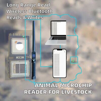 Pembaca Tag Telinga RFID Jarak Jauh Tahan Air 134.2kHz Protokol ISO11784/5 Jarak Baca 30-100cm Bahan PVC untuk Pertanian