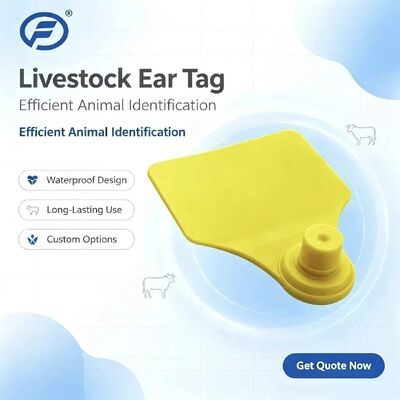 ICAR Fofia T904 Chip Tag Telinga Hewan Baru Kualitas Tinggi RFID TPU Laser Coding 3 Tahun Garansi Penggunaan Pertanian untuk Pelacakan Sapi