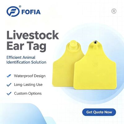 ICAR T904+T905 Kombinasi Tag Telinga Pelacak Hewan RFID TPU Plastik Baru 70*57mm Pengkodean Laser Garansi 3 Tahun Penggunaan Peternakan Sapi