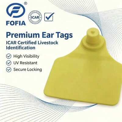 ICAR Fofia T904 Chip Tag Telinga Hewan Baru Kualitas Tinggi RFID TPU Laser Coding 3 Tahun Garansi Peternakan-penggunaan Sapi Sapi 0.01g