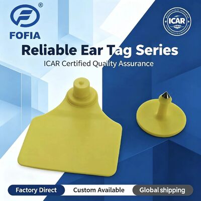 Tag Telinga Hewan Fofia T904+T901 Tahan Air ICAR Kualitas Tinggi RFID TPU 72*57mm Pengkodean Laser Garansi 3 Tahun untuk Penggunaan Pertanian
