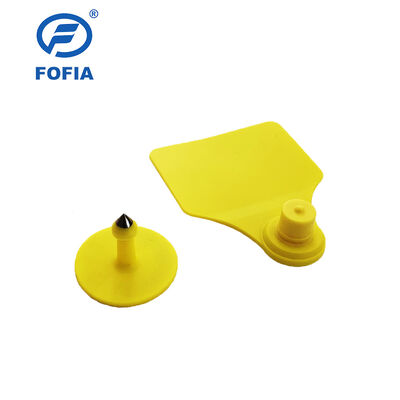 Tag Telinga Hewan Fofia T904+T901 Tahan Air ICAR Kualitas Tinggi RFID TPU 72*57mm Pengkodean Laser Garansi 3 Tahun untuk Penggunaan Pertanian