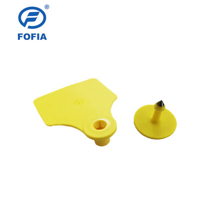 Tag Telinga Hewan Fofia T904+T901 Tahan Air ICAR Kualitas Tinggi RFID TPU 72*57mm Pengkodean Laser Garansi 3 Tahun untuk Penggunaan Pertanian