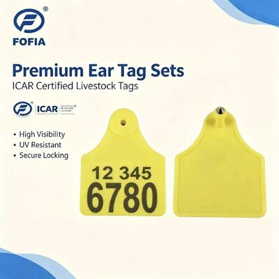 ICAR T904+T905 Kombinasi Tag Telinga Pelacak Hewan Kualitas Tinggi Baru RFID Plastik TPU 70*57mm Pengkodean Laser Garansi 3 Tahun Pertanian