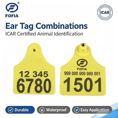 Kualitas Tinggi TPU Split Medium Bull Ear Animal Tags Kondisi Baru untuk Industri Peternakan