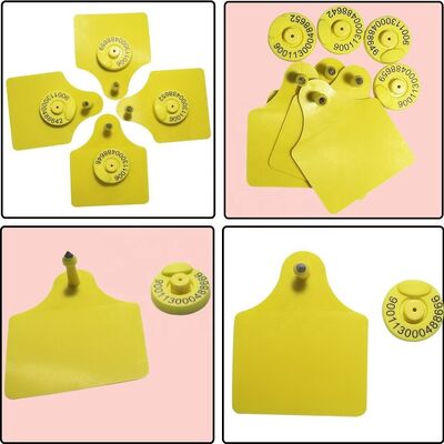 Kualitas Tinggi TPU Split Medium Bull Ear Animal Tags Kondisi Baru untuk Industri Peternakan