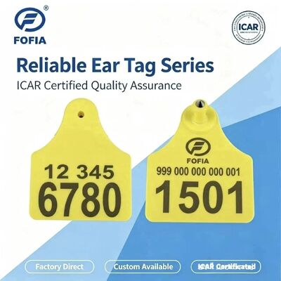 Tag Telinga Hewan Kombinasi ICAR T904+T905 Berkualitas Tinggi Baru RFID Plastik TPU 70*57mm Pengkodean Laser Garansi 3 Tahun Pelacakan Hewan