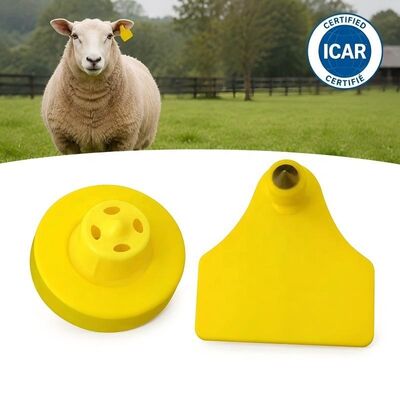 Waterproof Fofia ET957+T967 Lamb Kambing Kombinasi Hewan Elektronik Pelacakan Ear Tag Baru Kualitas Tinggi RFID TPU Laser Coding