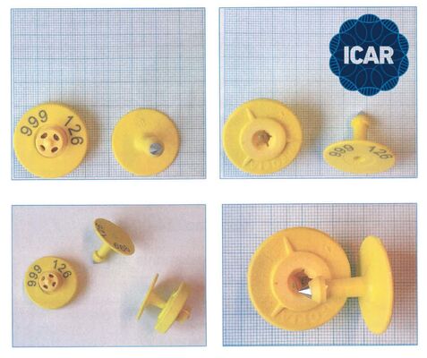 Tag Telinga Hewan ICAR ET908+T901 Tahan Air RFID LF TPU Kuning 14.5mm Sapi Sapi Chip Garansi 5 Tahun Sapi