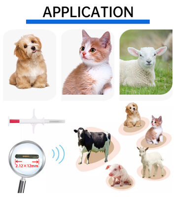 Fofia Tahan Air Baru Terlaris RFID 134.2kHz Bahan PP Microchip ID Anjing Tahan Air Penggunaan Pertanian Suntikan Hewan Peliharaan Tag Telinga 1.5 Tahun