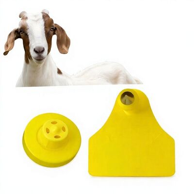 tahan air kambing domba pelacakan hewan elektronik ear tag baru kualitas tinggi RFID TPU laser coding 3 tahun model garansi