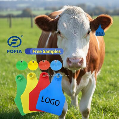 Tag Telinga Sapi Plastik Baru Peternakan Sapi dan Babi Menggunakan Tag Telinga dengan Chip Pelacakan Hewan Nomor