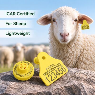Tag Telinga Elektronik Fofia Full ICAR Kombinasi Domba Kambing Pelacak Baru Berkualitas Tinggi RFID TPU Plastik Laser Coding 3 Tahun