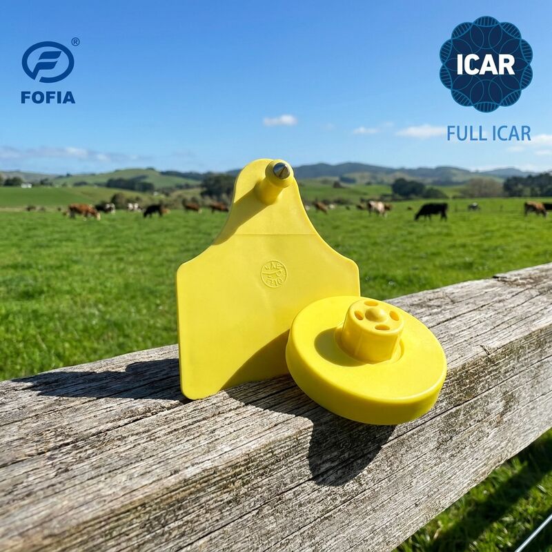 Sertifikasi ICAR penuh 134.2KHz RFID Tag Telinga Elektronik untuk Identifikasi Babi Kambing Domba