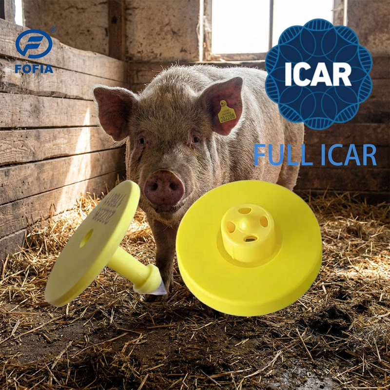 Peternakan Baru Spesial Besar TPU Tag Telinga Sapi FULL ICAR Sertifikasi untuk Sapi Sapi Sapi Anjing Kambing