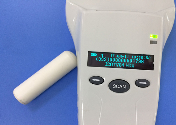 RFID Rumen Bolus Tag Implant untuk ternak sapi ID Pelacakan 134.2khz Frekuensi