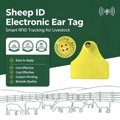 Fofia Waterproof Combination Electronic Animal Tracking Ear Tag Baru Berkualitas Tinggi RFID TPU Laser Coding 3 Tahun Garansi Kambing