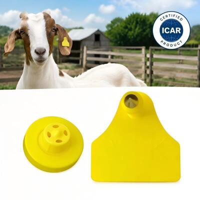 Tag Telinga Kambing Kuning Tag Identifikasi Visibilitas Tinggi untuk Pengelolaan Peternakan Kambing dan Babi